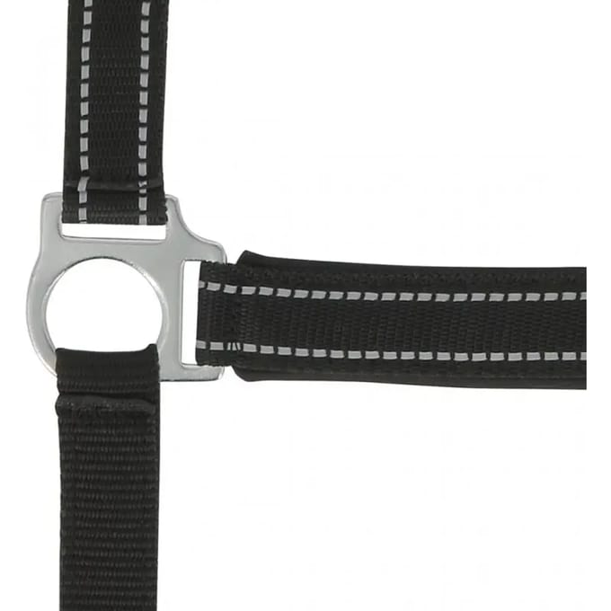Halster voor paarden Norton Reflective
