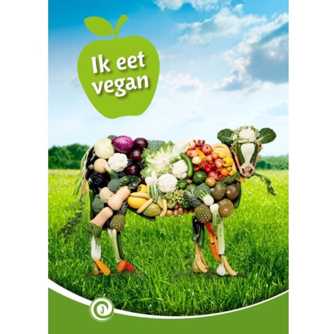 Ik Eet Vegan - Junior Informatie - Moniek van Zijl