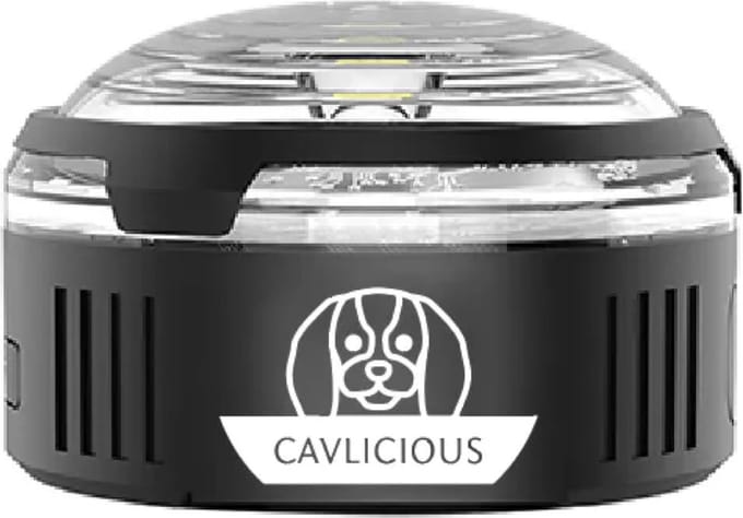 Cavlicious® hondenlichtje - multicolor - usb-C oplaadbaar - led - met clip en rubberen bandbevestiging