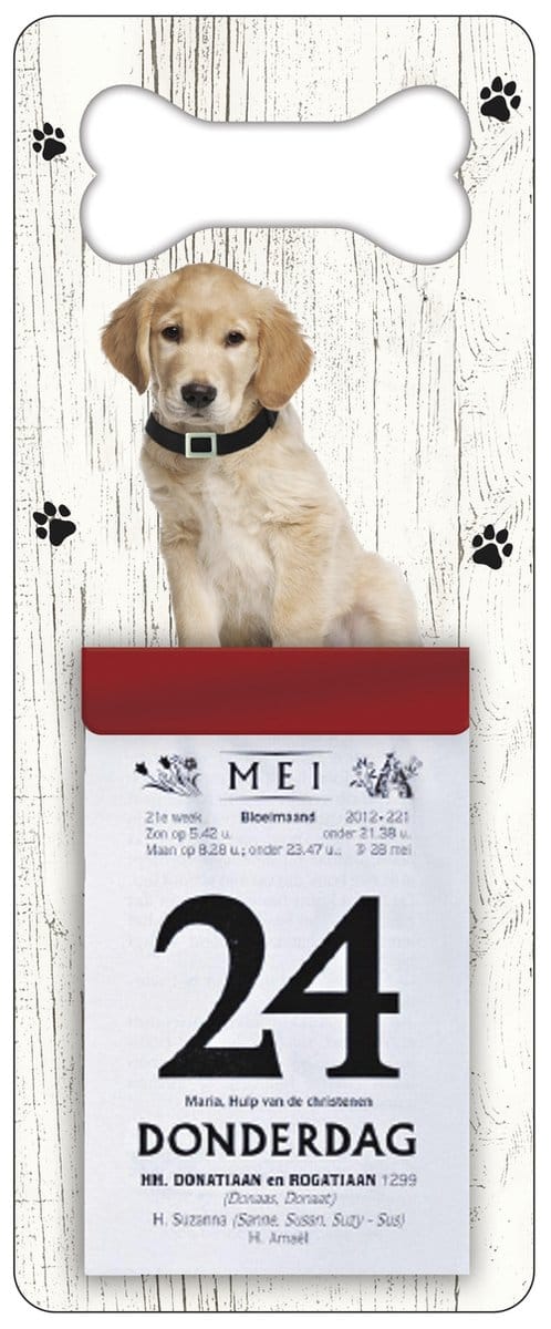 Scheurkalender 2027 Hond: Labrador