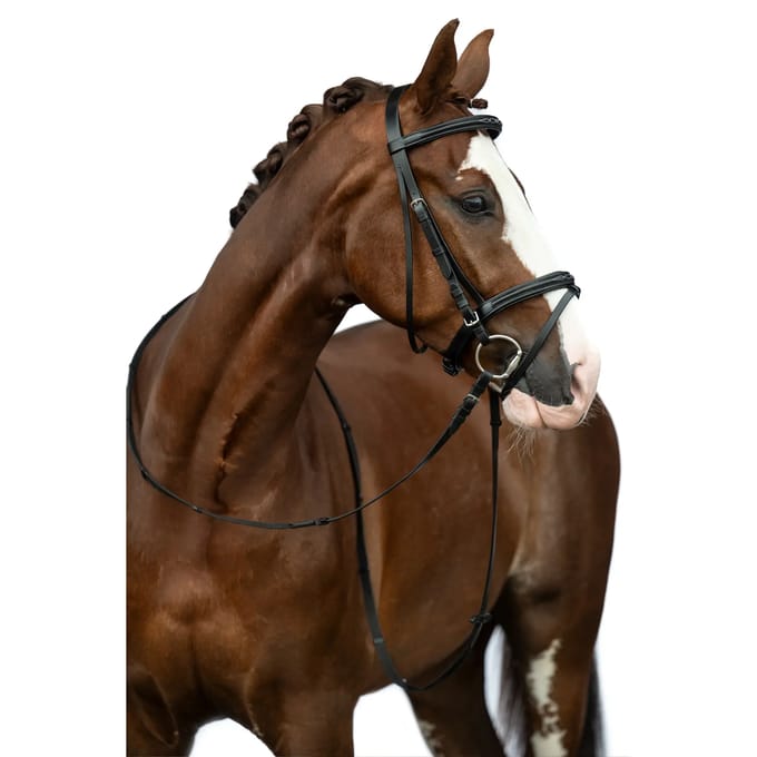 Bitloos hoofdstel voor paarden HKM Jana