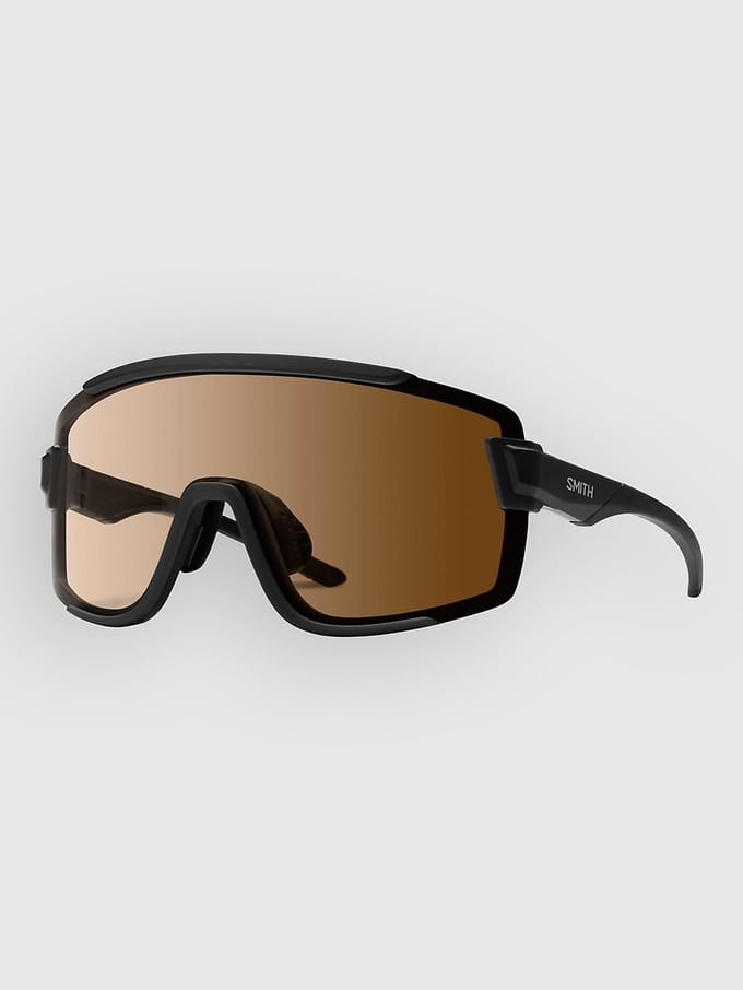Smith Wildcat Matte Black +Bonus Lens Zonnebril zwart
