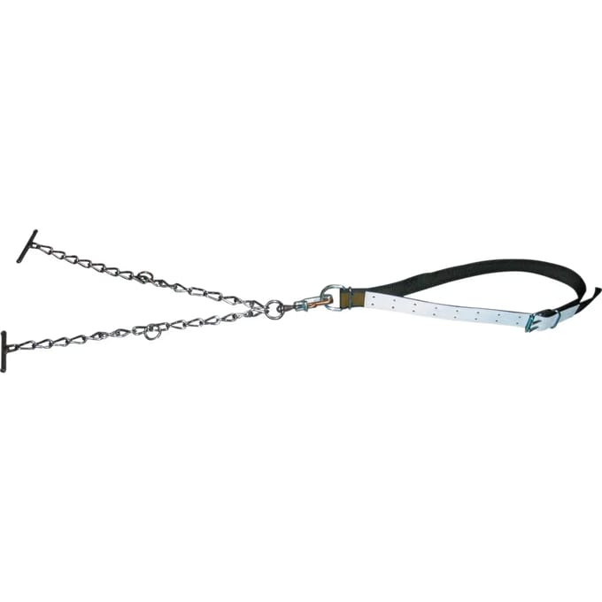 Dubbel-link bullhorn en ketting ketting Kerbl
