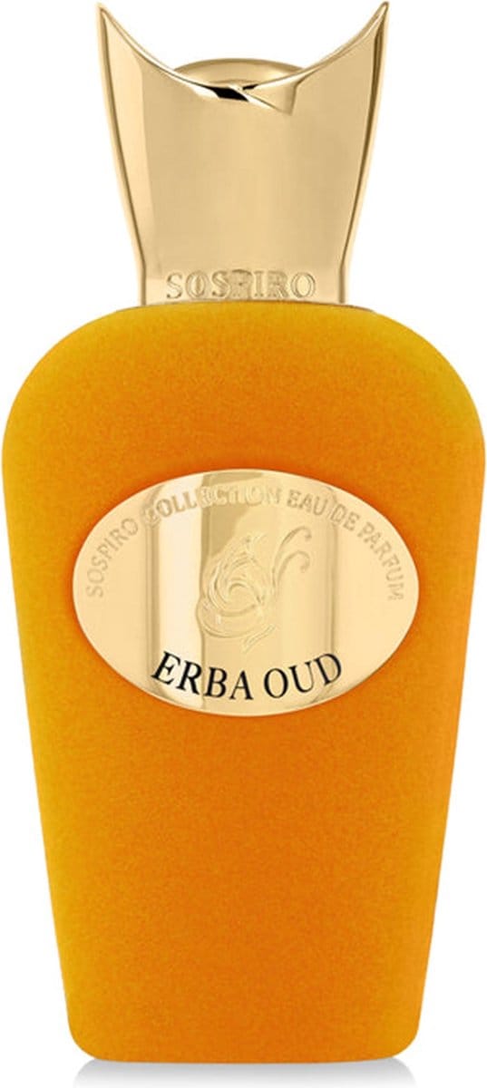 Erba Oud Eau de Parfum 100ml spray