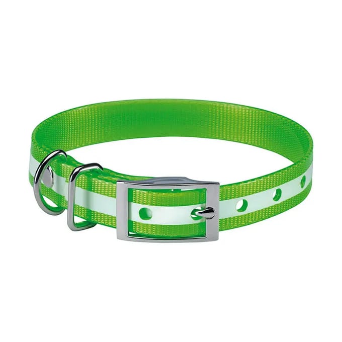 Fosforescerende hondenhalsband Stepland