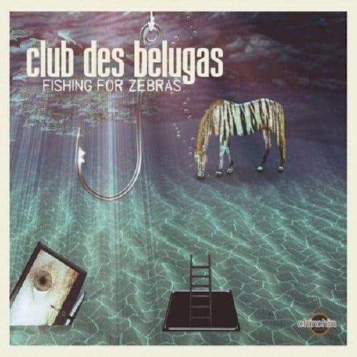 Fishing For Zebras - Club Des Belugas