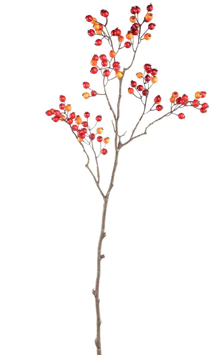 PTMD Berry Kunstplant - 48x26x80 cm - PE - Rood