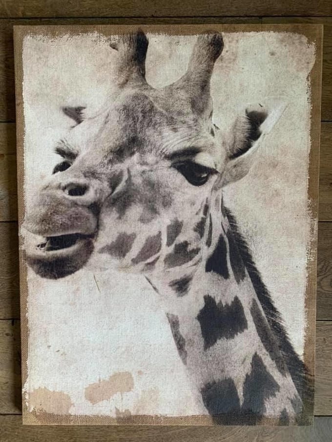 Giraffe op canvas