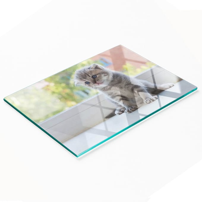 Decoratieve glazen snackplank met klein kattenraam, 80x52 cm
