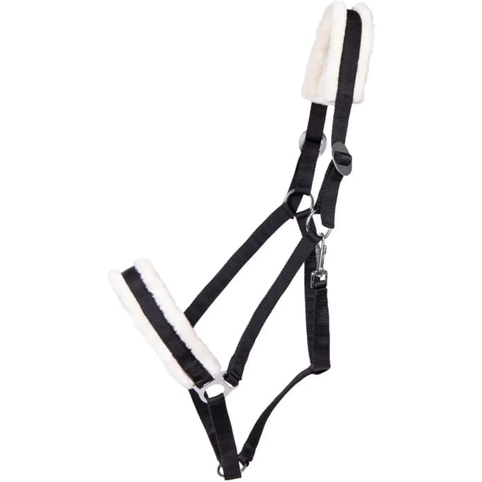Halster voor trekpaard Q-essentials Cali