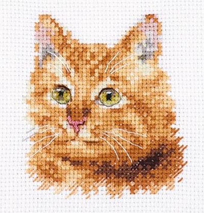 Alisa borduurpakket Ginger Cat S0-207