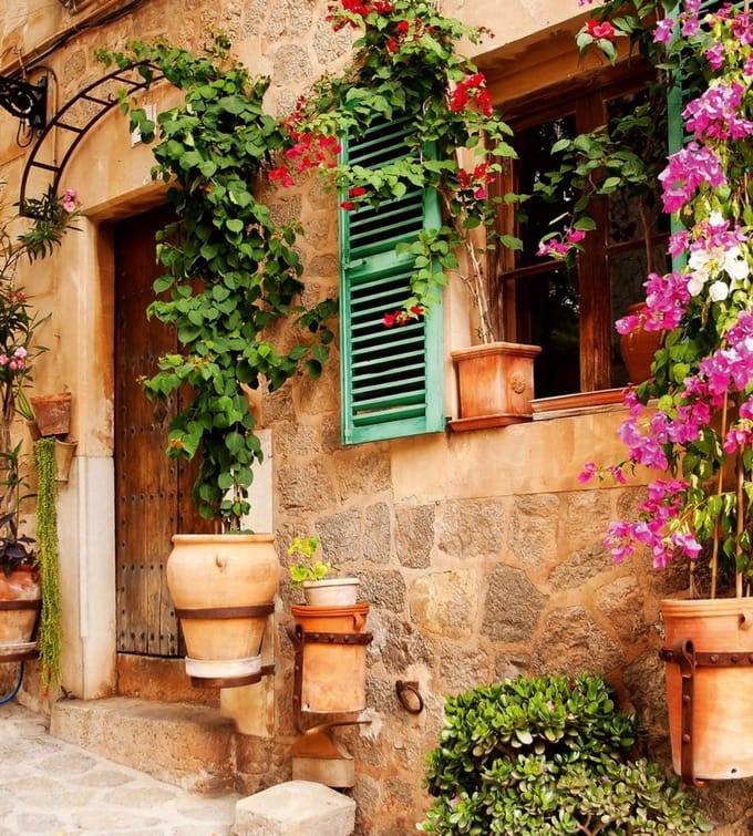Fotobehang - Street Garden 225x250cm - Vliesbehang