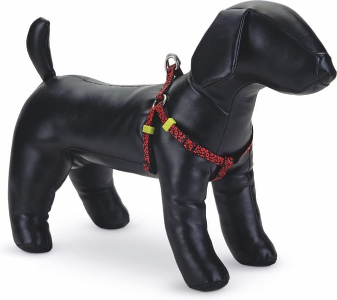 Beeztees nylon borsttuig Scribbles zwart 35-60 cm 15 mm