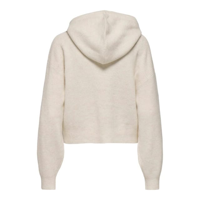 Jacqueline de Yong Lumi life l/s hood pullover