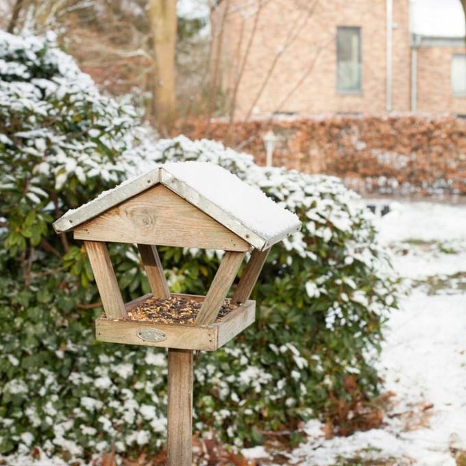 Esschert Design Voedertafel - Vogelvoederhuisje - Bruin - 90 cm x 28 cm x 120 cm