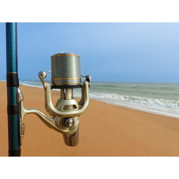 Surfcasting haspel Daiwa Emblem Surf SCW QD R