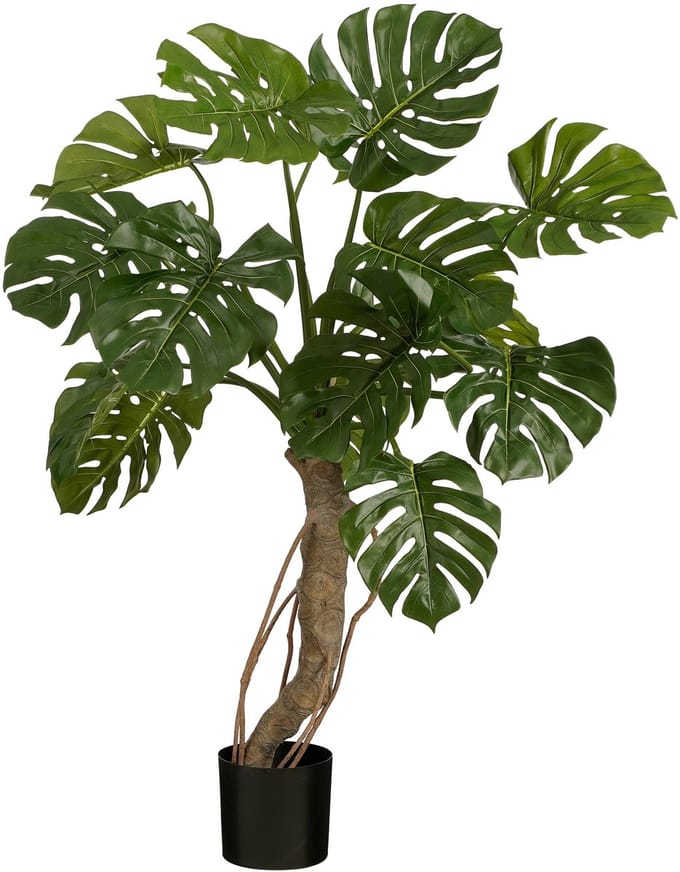 Monstera in pot green - h135xd100cm