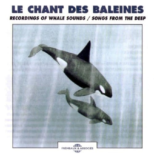 Le Chant Des Baleines - Whales Recordings / Songs - Sons De La Nature