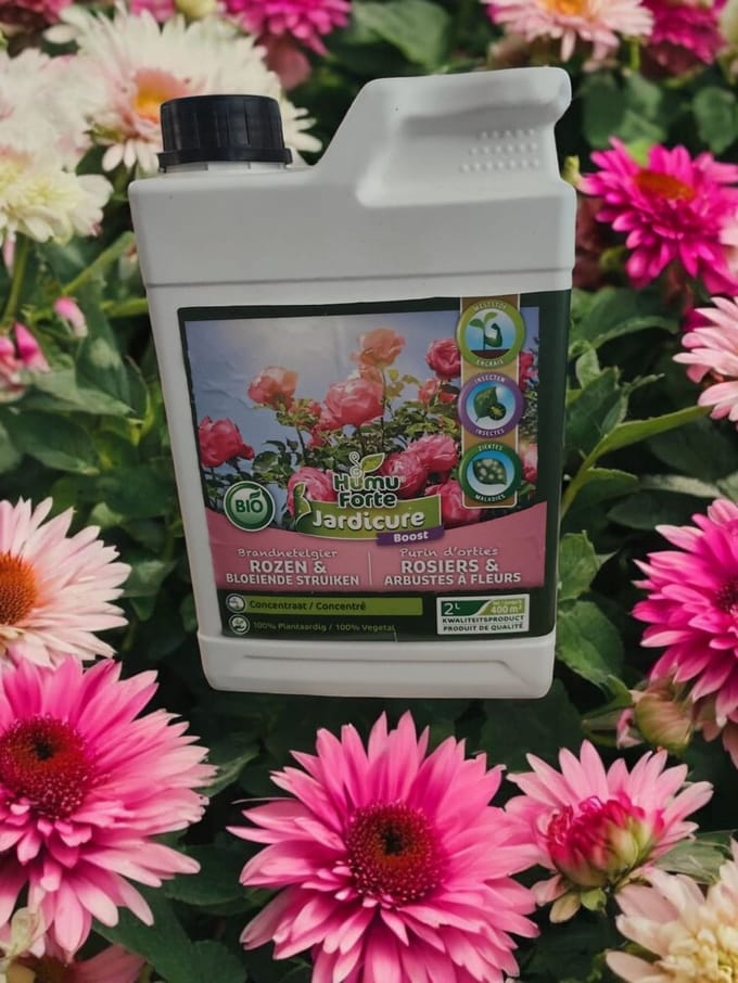 brandnetelgier rozen en bloeiende struiken 2 liter