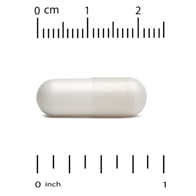 Mastic Gomboom, 500 mg, 60 Plantaardige Capsules