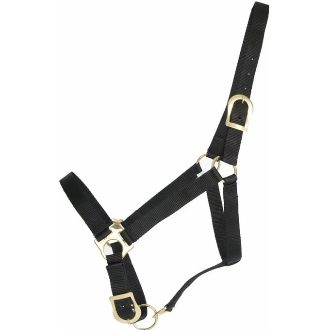 Halster voor paarden T de T First
