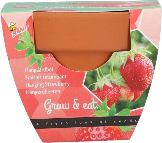 Buzzy - Grow gifts kweekset groeicadeautje aardbei