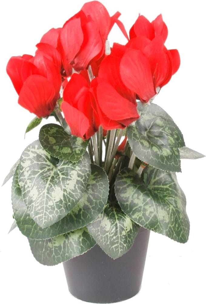 Emerald - Kunstplant Cyclamen 25cm dieprood in pot - Kunstplant voor binnen