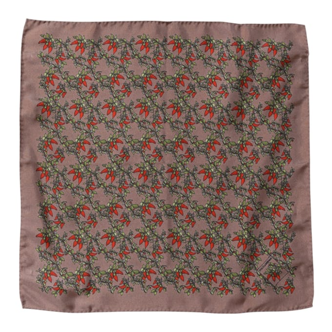 Bruine Chili's Zijde Vierkant Mannen Foulard Sjaal