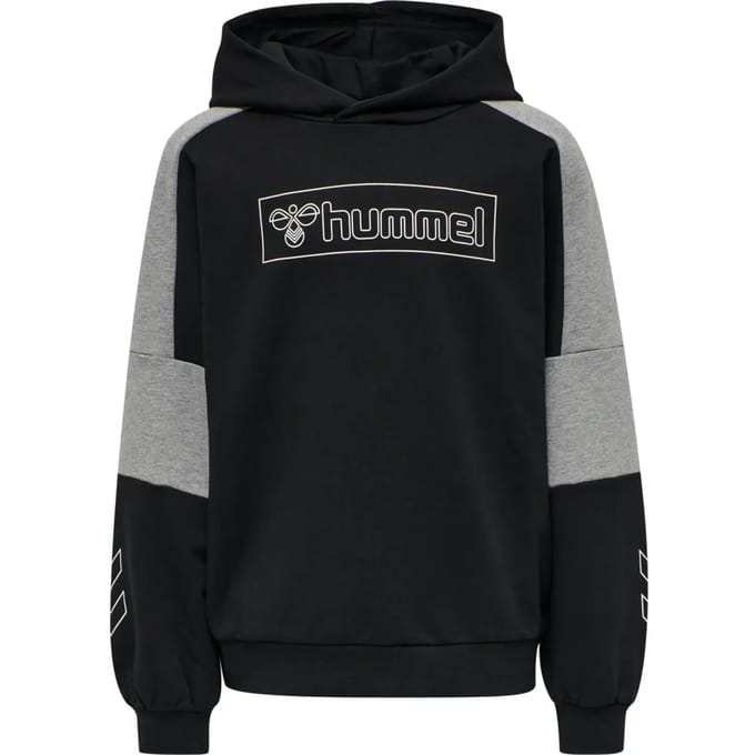Kinder sweatshirt met capuchon Hummel hmlBOXLINE