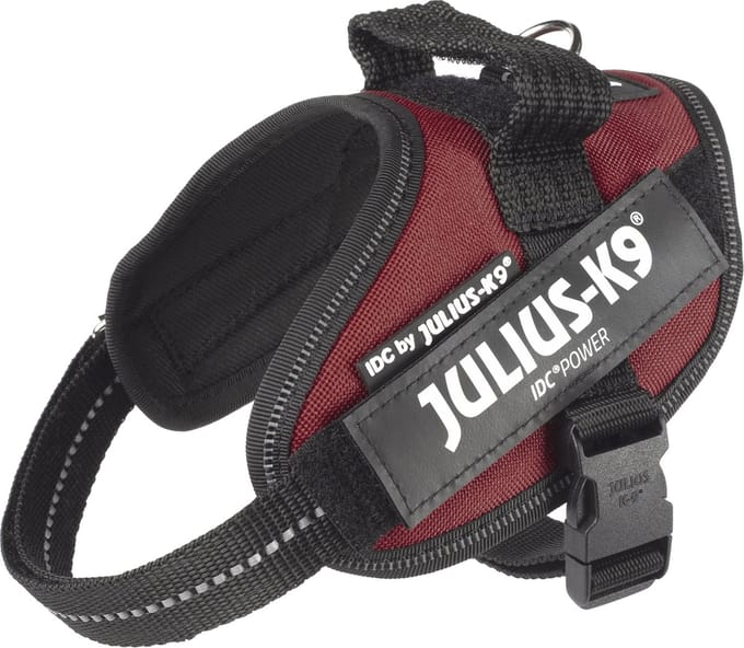 Julius K9 IDC Powertuig/Harnas - Mini-mini/40-53cm - XS- Bordeaux/Rood