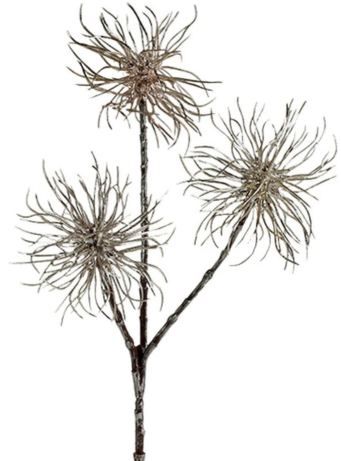 Toverhazelaartak champagne 45cm 3 st