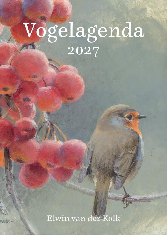 Vogel Agenda 2027 - Illustraties van Elwin van der Kolk