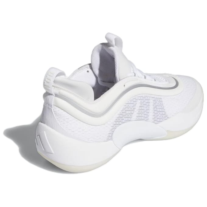 Basketbalschoenen adidas D.O.N. Issue 6