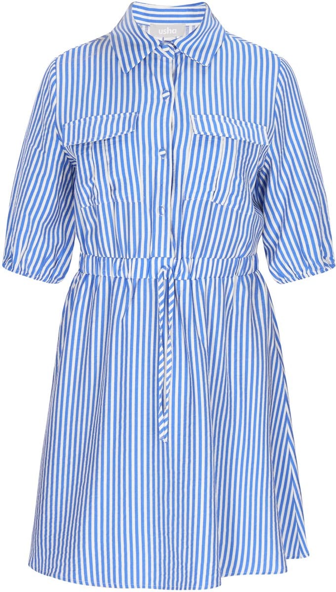 usha Dress