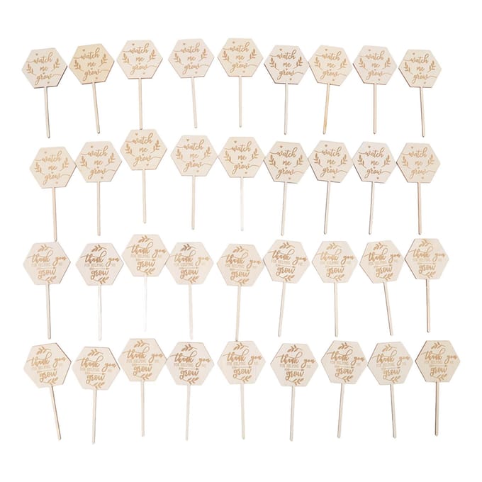 36 stuks Kijk Mij Groeien Succulenten Labels Veilig Milieuvriendelijk Houten Zeshoekige Succulenten Labels voor Bloempot white