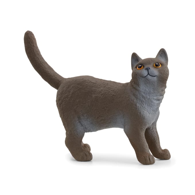 schleich FARM WORLD - Britse korthaar - 13973