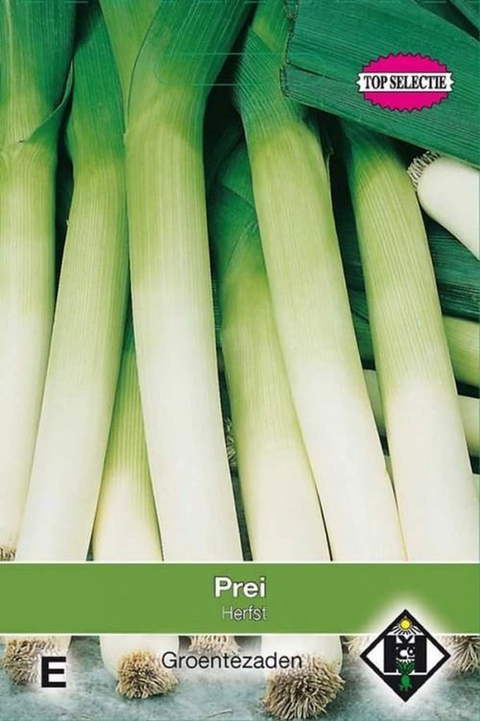 Van Hemert - Prei Blauwgroene Herfst Porbella