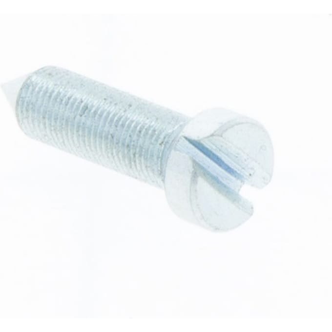 Screw