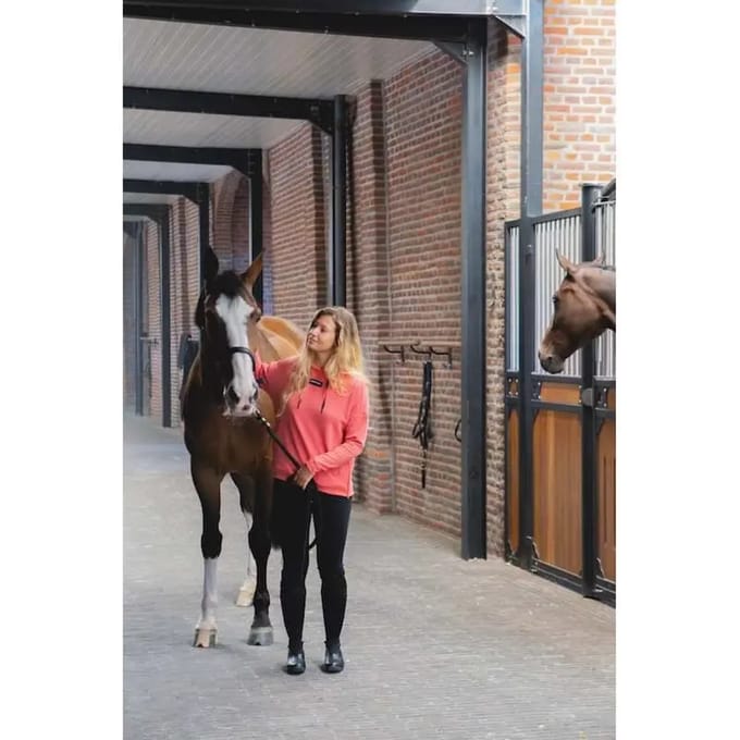 Dames Hoodie Horse Pilot Team