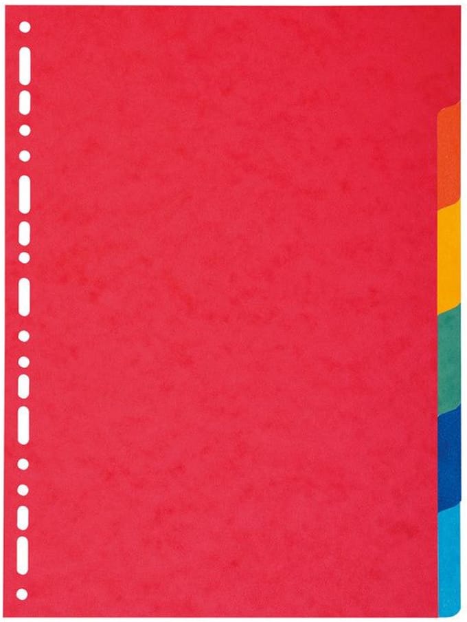 Exacompta Tabbladen gerecycleerd karton 220g - 6 tabs - A4 - Geassorteerd - 2006E