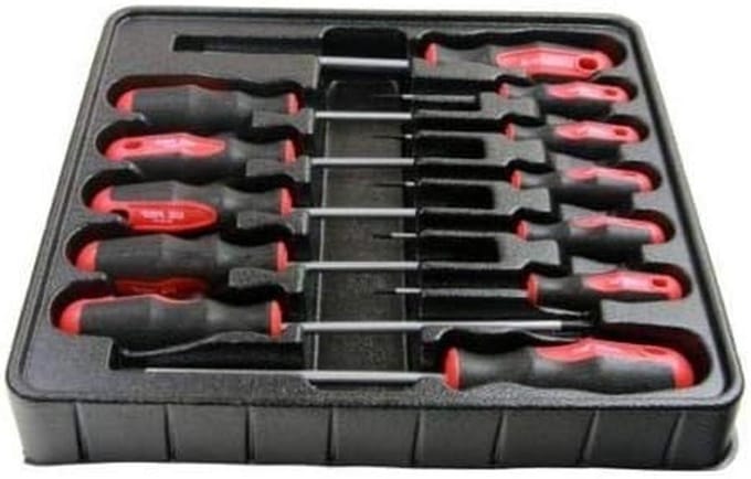 Torx Schroevendraaier Set - Torx Bit Set - Schroeven Aandraaien - Sabotage Proof - 12 Stuks - Rood Zwart