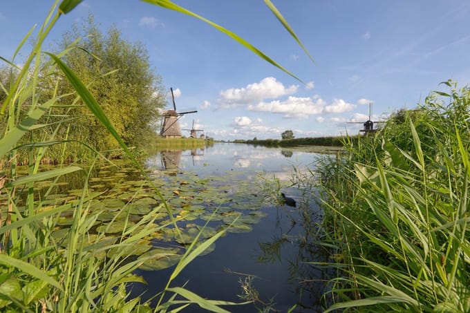 Fotobehang Molens Kinderdijk 250 x 260 cm - € 175,--