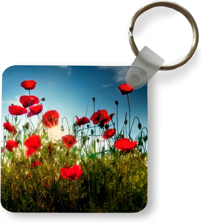 Sleutelhanger - Uitdeelcadeautjes - Klaprozen - Toscane - Zon - Rood - Blauw - Plastic