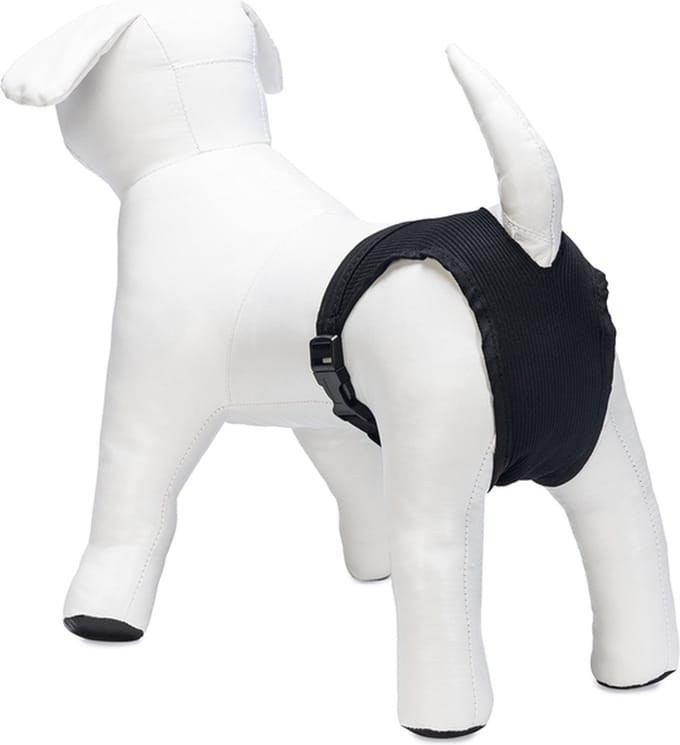Beeztees Loopsheidbroekje - Hond - M - Nylon - Zwart - 32-37 cm