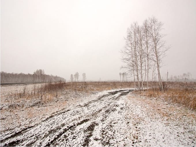 Fotobehang - Winter field.