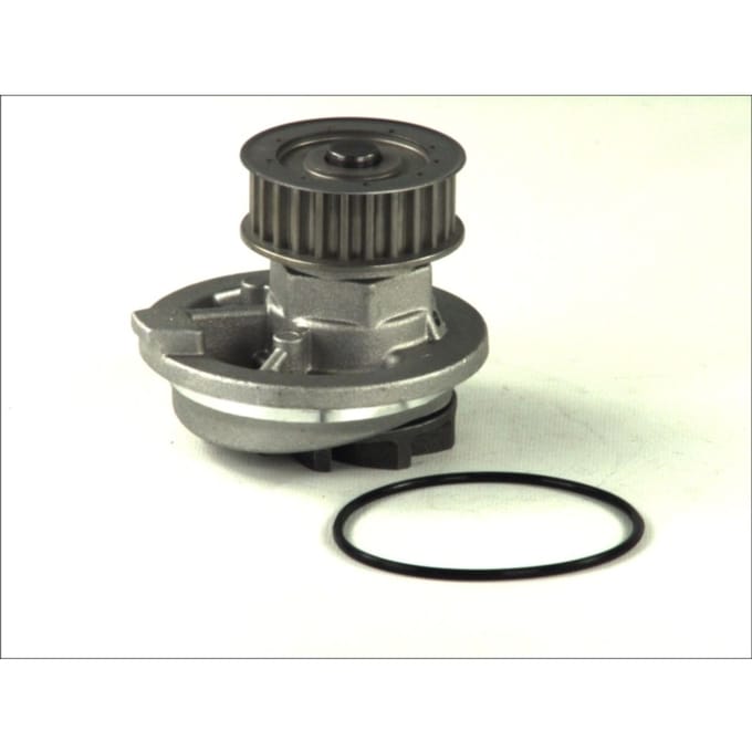 Waterpomp THERMOTEC D1X021TT