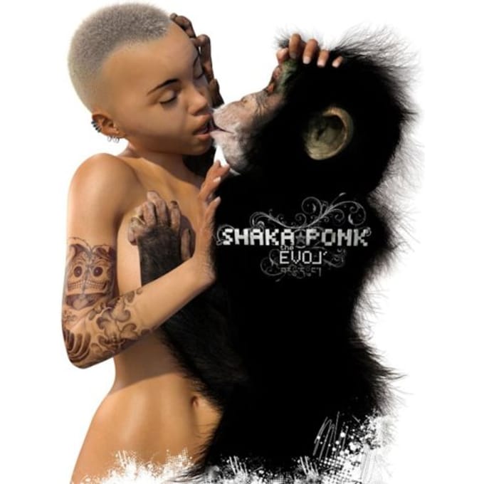 Shaka Ponk - The Evol' (LP)