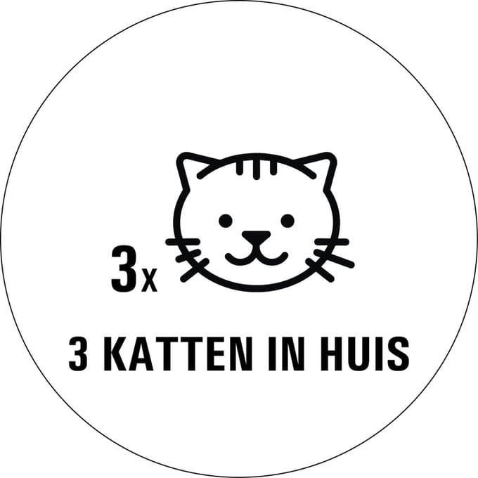 Katten in huis sticker - 80 x 80 mm 3