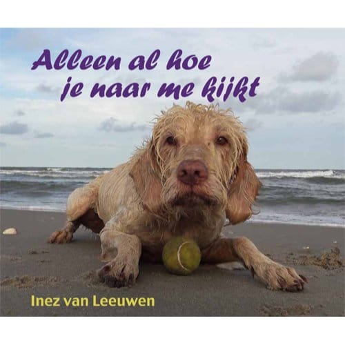 Alleen Al Hoe Je Naar Me Kijkt - Inez van Leeuwen