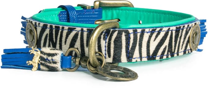 Dandy Hondenhalsband S (Halsomvang 30-33 cm / 2,5 cm)